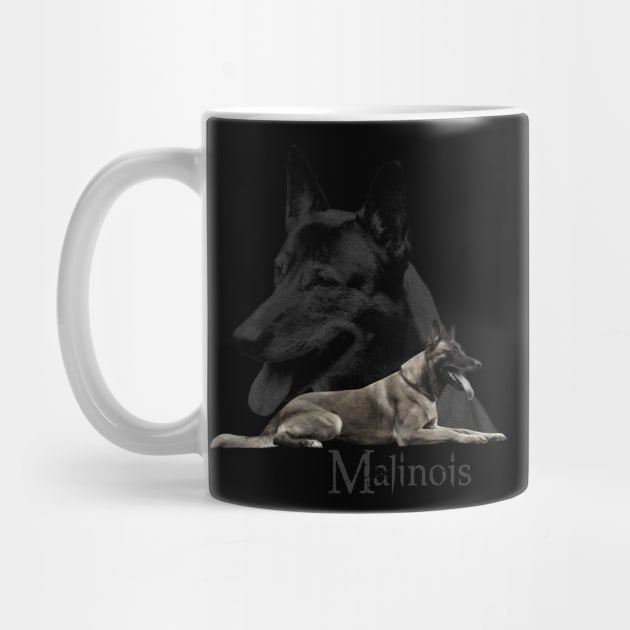 Malinois  - Belgian shepherd - Mechelaar by Nartissima